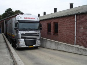 Kuikentransport